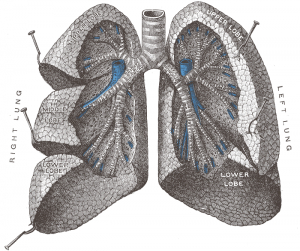 Recent advances in the management of pulmonary embolism: focus on critically ill patients Recent advances in the management of pulmonary embolism: focus on critically ill patients