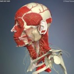 temporomandibular_disorder