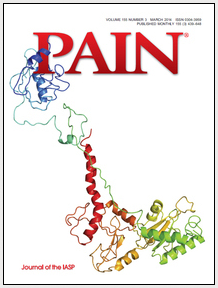 Image result for pain journal