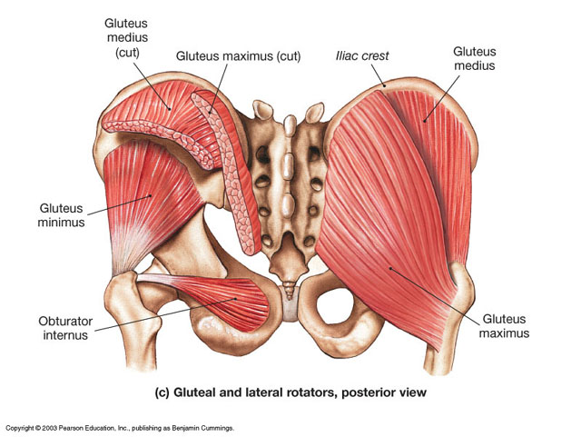 North carolina bodily remedy physical remedy degree packages