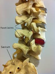 Clinical tests to diagnose lumbar spondylolysis and spondylolisthesis Clinical tests to diagnose lumbar spondylolysis and spondylolisthesis