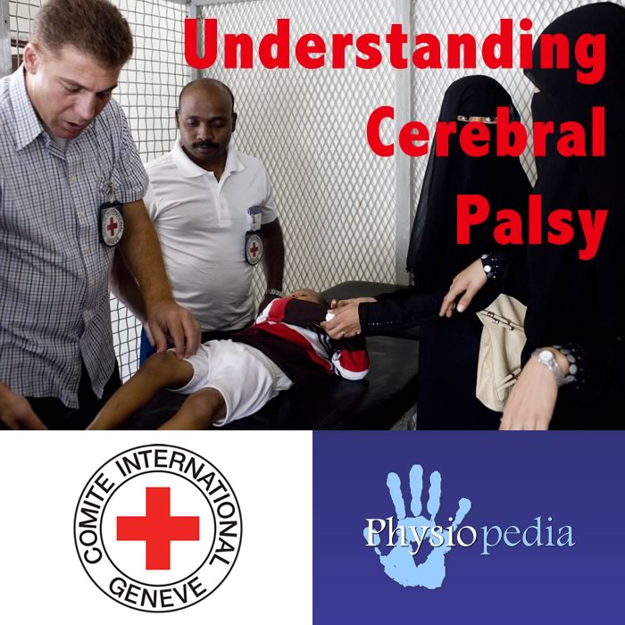 Systematic review of whole body vibration exercises in the treatment of cerebral palsy: Brief report. Systematic review of whole body vibration exercises in the treatment of cerebral palsy: Brief report.