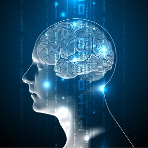 Network interactions underlying mirror feedback in stroke: A dynamic causal modeling study. Network interactions underlying mirror feedback in stroke: A dynamic causal modeling study.