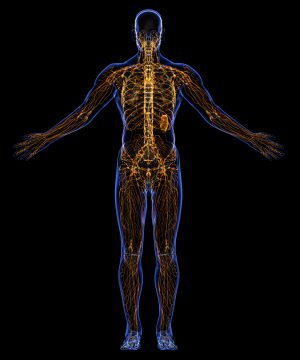 Lymphedema: Improving Screening and Treatment Among At-Risk Breast Cancer Survivors. Lymphedema: Improving Screening and Treatment Among At-Risk Breast Cancer Survivors.