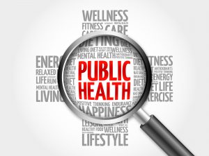 Systems thinking in public health: a bibliographic contribution to a meta-narrative review. Systems thinking in public health: a bibliographic contribution to a meta-narrative review.