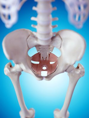Barriers to Pelvic Floor Physical Therapy Regarding Treatment of High-Tone Pelvic Floor Dysfunction. Barriers to Pelvic Floor Physical Therapy Regarding Treatment of High-Tone Pelvic Floor Dysfunction.