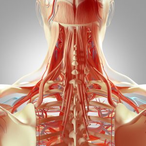 Effectiveness of Physiotherapy interventions plus Extrinsic Feedback for neck disorders: A systematic review Effectiveness of Physiotherapy interventions plus Extrinsic Feedback for neck disorders: A systematic review
