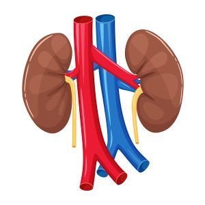 The physical deterioration of dialysis patients-Ignored, ill-reported, and ill-treated. The physical deterioration of dialysis patients-Ignored, ill-reported, and ill-treated.