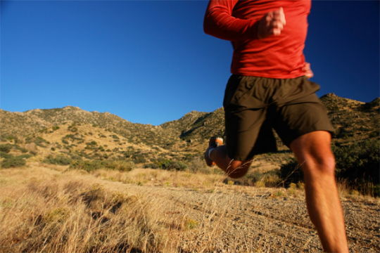 Is there evidence that runners can benefit from wearing compression clothing? Is there evidence that runners can benefit from wearing compression clothing?