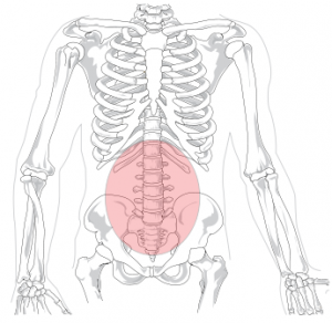 Strategies for Coping with Chronic Lower Back Pain in Patients with Long Physiotherapy Wait Time. Strategies for Coping with Chronic Lower Back Pain in Patients with Long Physiotherapy Wait Time.