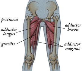 Conservative interventions for treating exercise-related