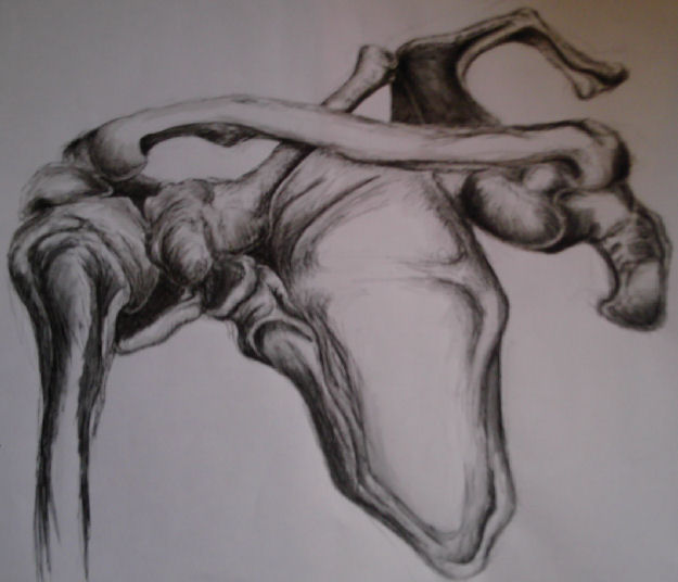 Rehabilitation of scapular dyskinesis Rehabilitation of scapular dyskinesis