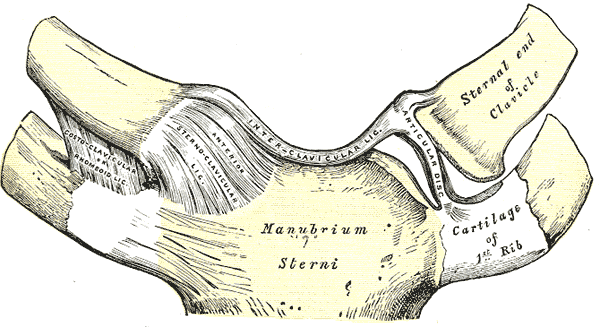 Instability of the sternoclavicular joint Instability of the sternoclavicular joint