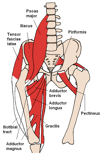 Effects of Different Hip Rotations on Gluteus Medius and Tensor Fasciae Latae Muscle Activity During Isometric Side-Lying Hip Abduction. Effects of Different Hip Rotations on Gluteus Medius and Tensor Fasciae Latae Muscle Activity During Isometric Side-Lying Hip Abduction.