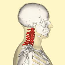 Nonoperative Management of Cervical Myelopathy Nonoperative Management of Cervical Myelopathy