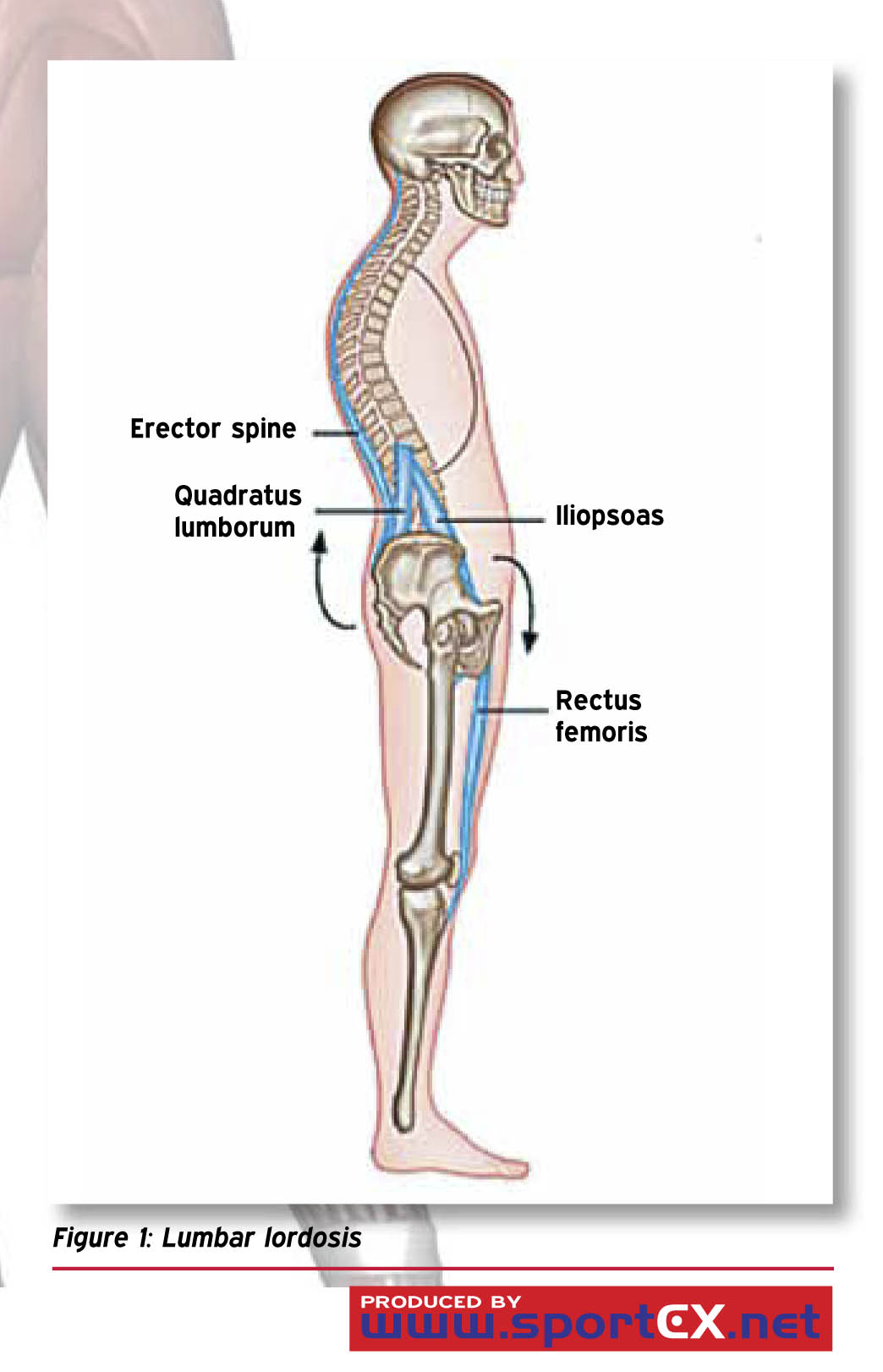 The reliability, minimal detectable change and concurrent validity of a gravity-based bubble inclinometer and iphone application for measuring standing lumbar lordosis. The reliability, minimal detectable change and concurrent validity of a gravity-based bubble inclinometer and iphone application for measuring standing lumbar lordosis.