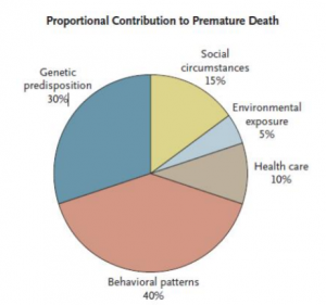 Contributors to premature death