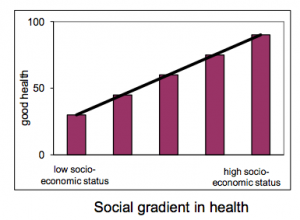 Social gradient