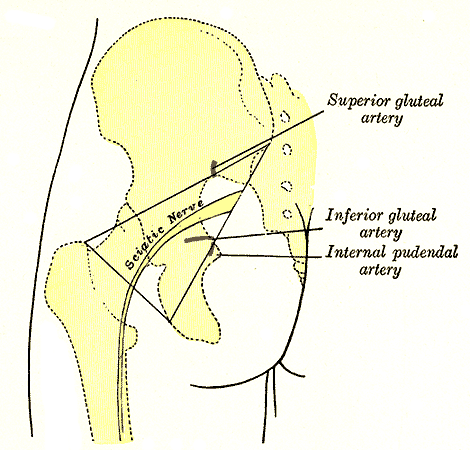 Does Kinesiophobia Modify the Effect of Physical Therapy on Outcome in Patients With Sciatica in Primary Care? Does Kinesiophobia Modify the Effect of Physical Therapy on Outcome in Patients With Sciatica in Primary Care?