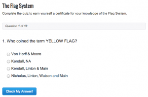 The Flag System Quiz