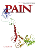 pain-journal