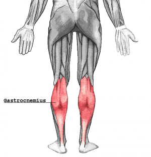 Calf muscle strain injuries in sport: a systematic review of risk factors for injury. Calf muscle strain injuries in sport: a systematic review of risk factors for injury.