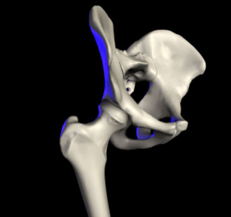 Effects of exercise and manual therapy on pain associated with hip osteoarthritis: a systematic review and meta-analysis. Effects of exercise and manual therapy on pain associated with hip osteoarthritis: a systematic review and meta-analysis.
