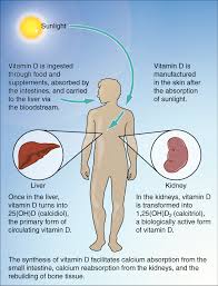 Vitamin D deficiency is associated with increased fecal incontinence symptoms Vitamin D deficiency is associated with increased fecal incontinence symptoms