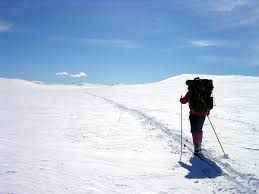 When the going gets tough: Mental toughness and its relationship with behavioural perseverance When the going gets tough: Mental toughness and its relationship with behavioural perseverance