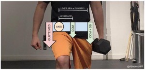 biomechanicssplitsquat