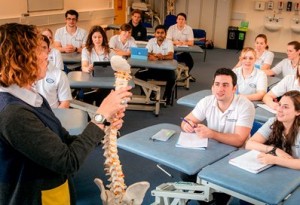 physiotherapy education