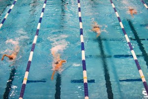 swimming-659903_640