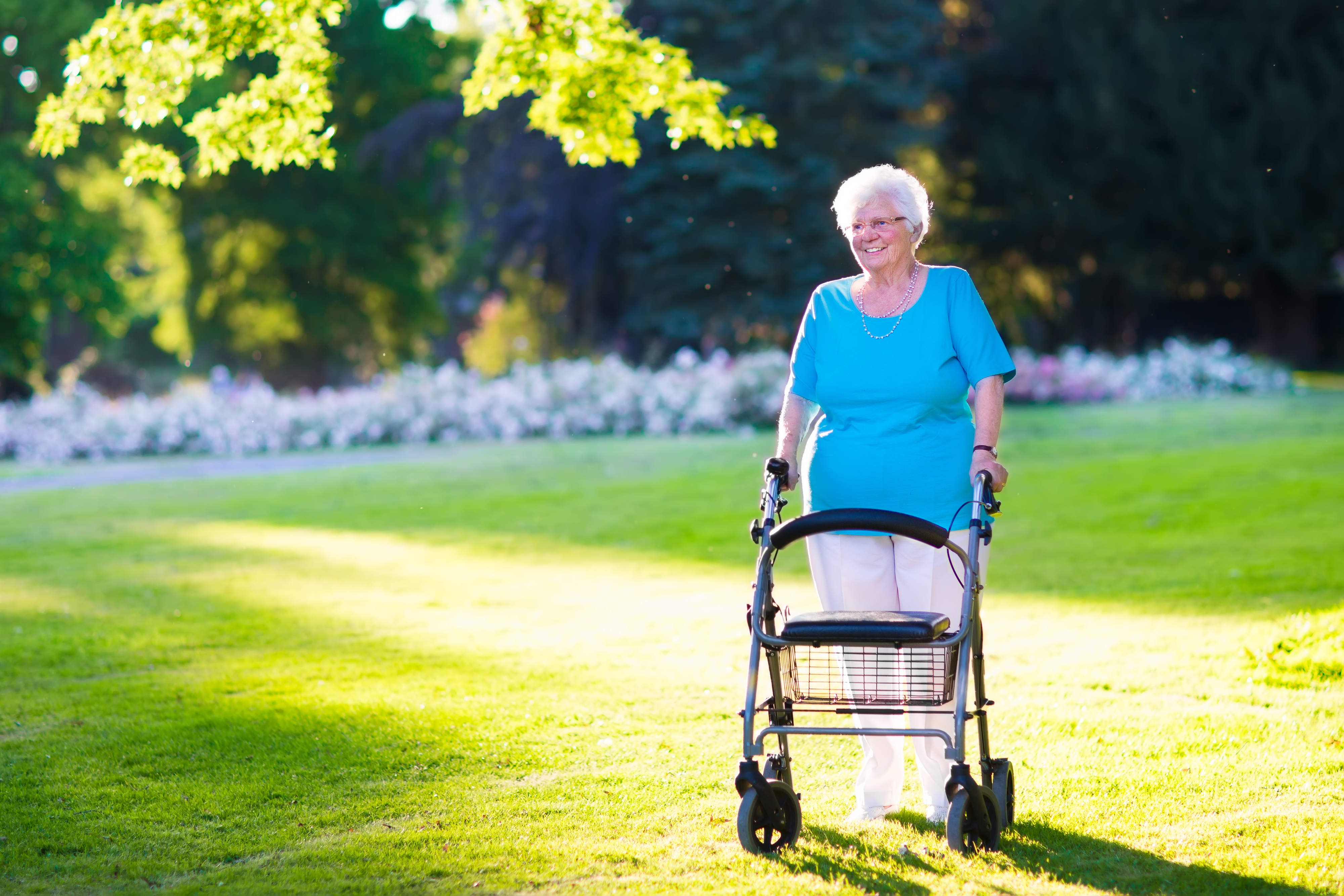 Use and satisfaction associated with rollators and ...