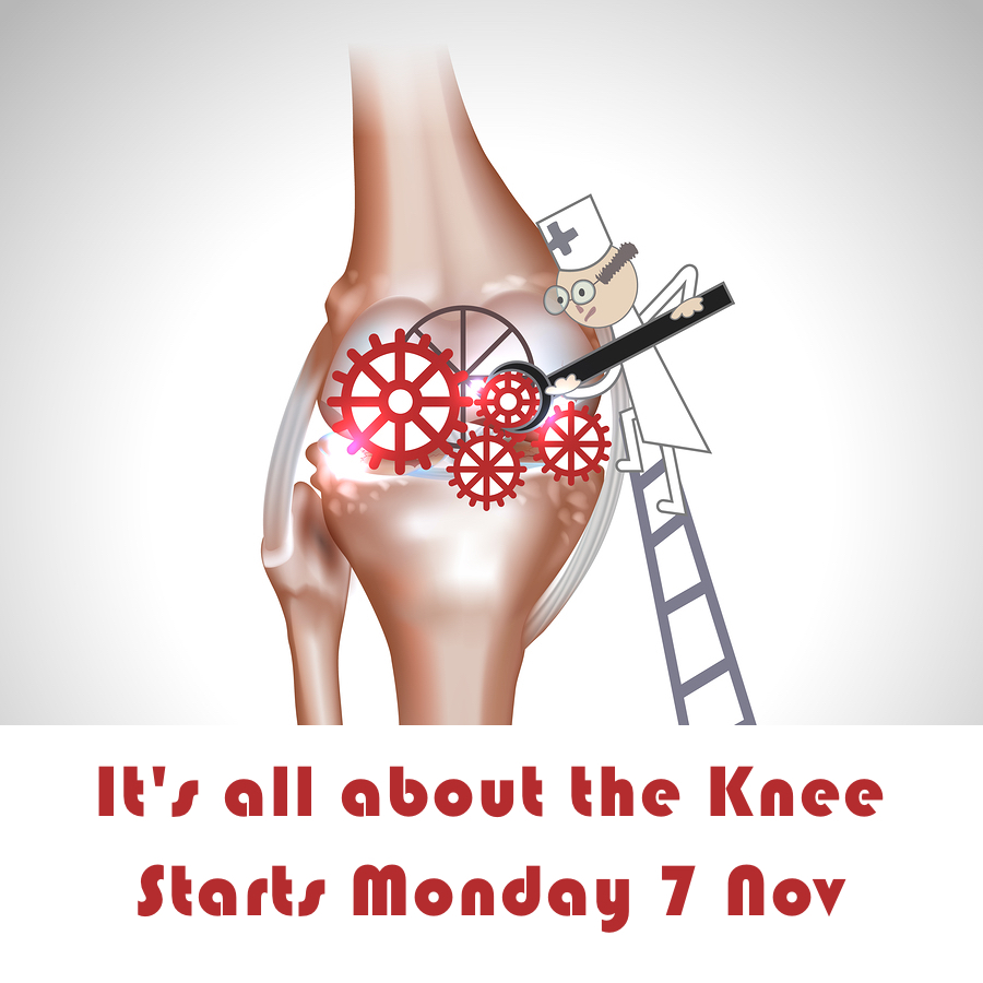 Knee course starts 7 November 2016! Knee course starts 7 November 2016!