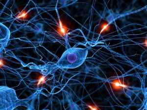 Brain activation changes during locomotion in middle-aged to older adults with multiple sclerosis. Brain activation changes during locomotion in middle-aged to older adults with multiple sclerosis.
