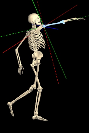 KineMan Complements the PP Anatomy Project KineMan Complements the PP Anatomy Project