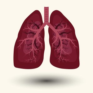 Effects of pulmonary rehabilitation in lung transplant candidates: a systematic review. Effects of pulmonary rehabilitation in lung transplant candidates: a systematic review.