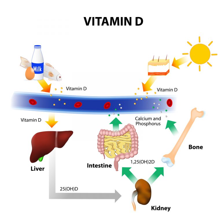 Betty Roche Vitamin D & parathyroid hormone are associated with