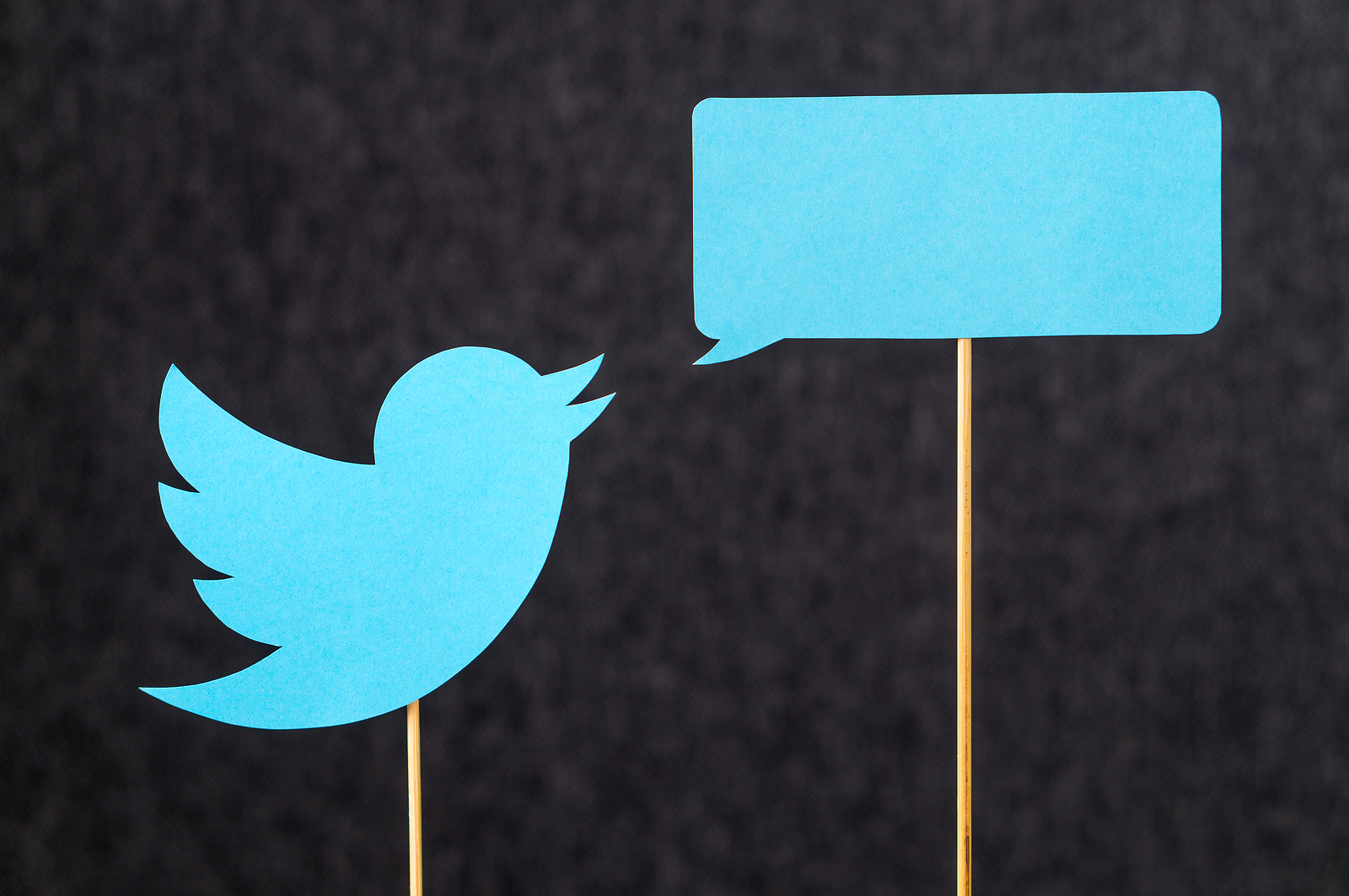 Twitter Logo