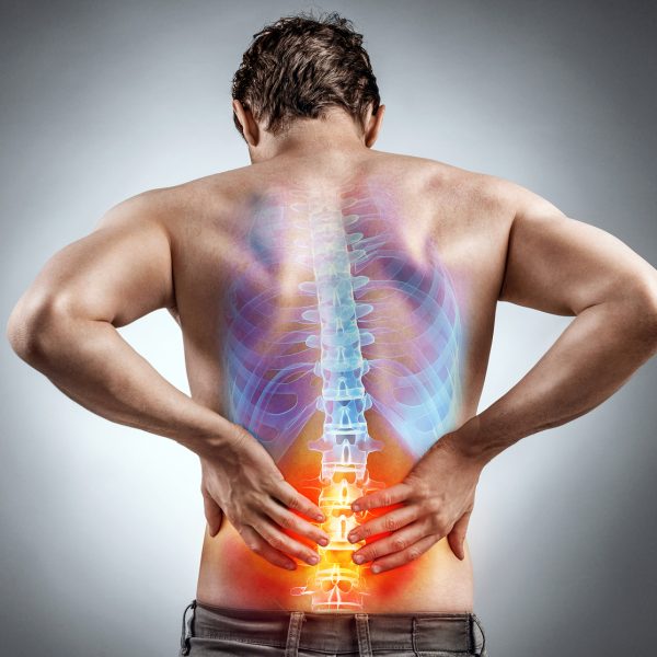 low back pain physiotherapy guidelines