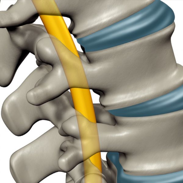 Introduction to Spinal Cord Injury